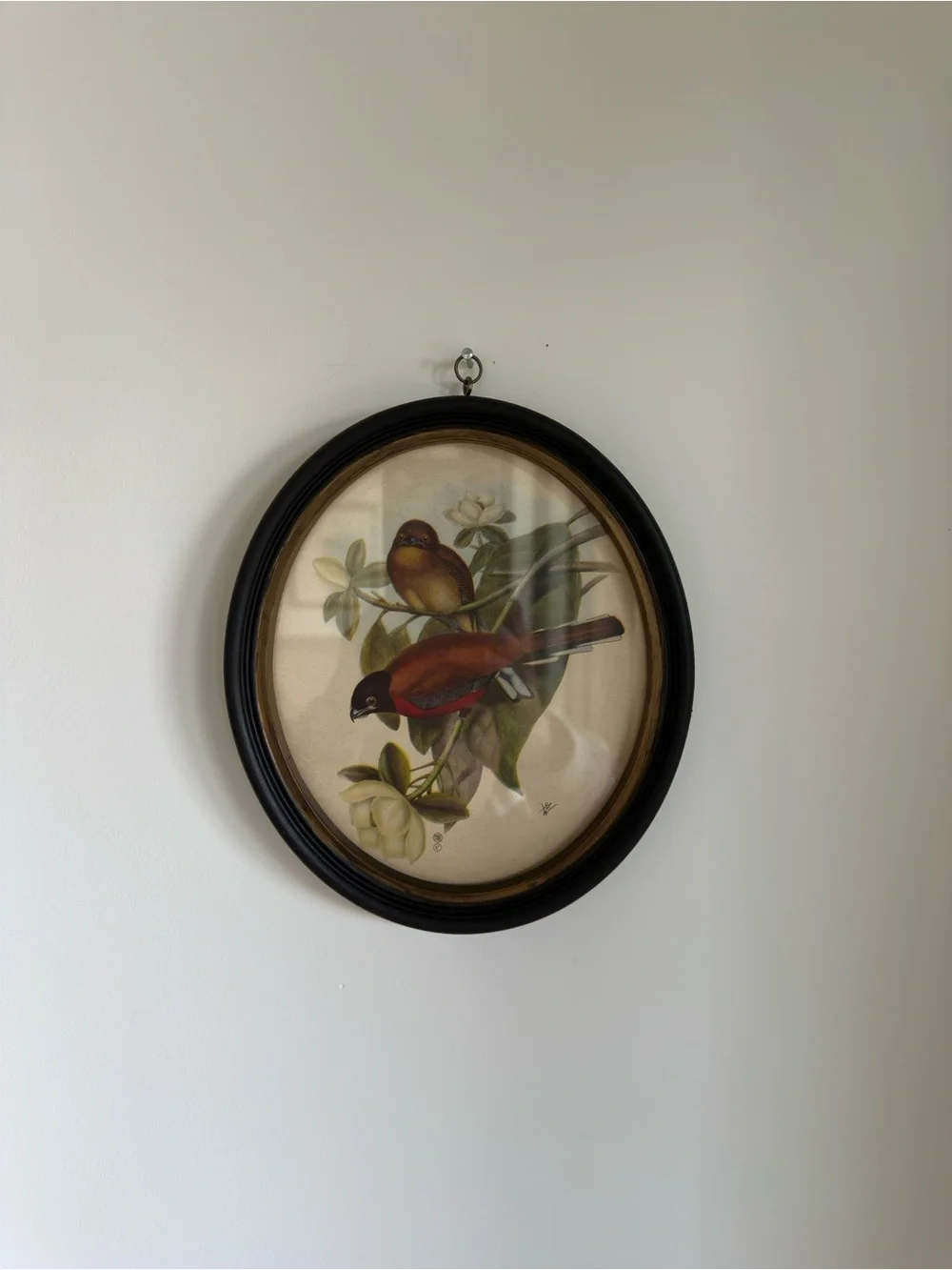 Vintage Red and Brown Bird Oval Wall Art Set